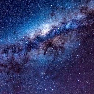 Meet your Posher, Will